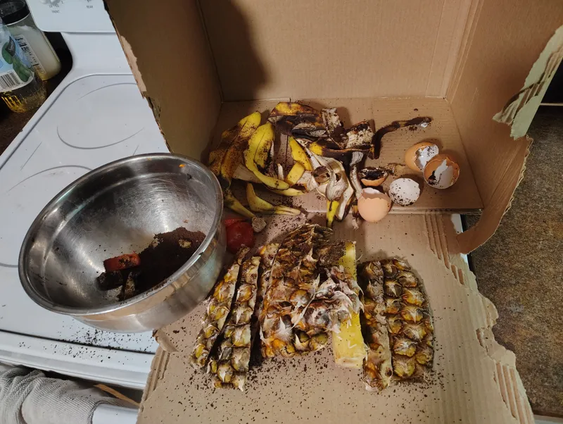 A week of household compost